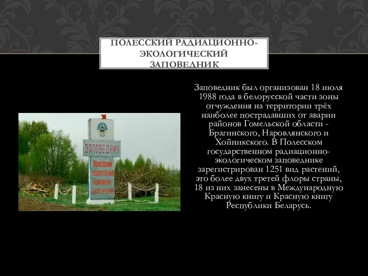 Заповедник был организован 18 июля 1988 года в белорусской части зоны