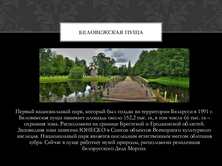 Первый национальный парк, который был создан на территории Беларуси в 1991