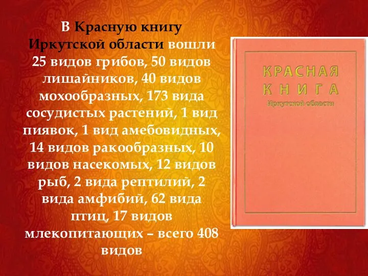 В Красную книгу Иркутской области вошли 25 видов грибов, 50 видов