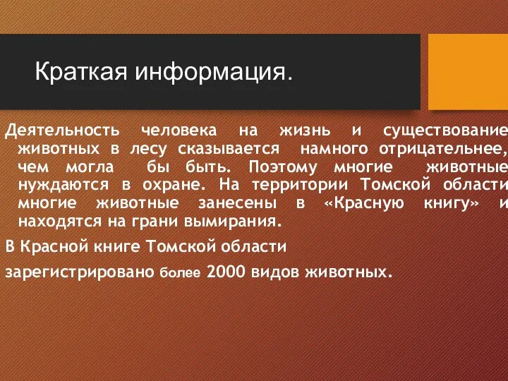 Краткая информация. Деятельность человека на жизнь и существование животных в лесу