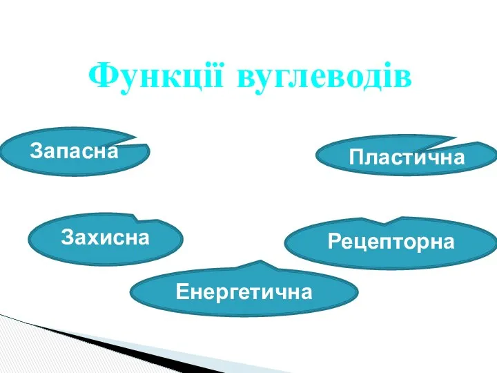 Функції вуглеводів Пластична Запасна Рецепторна Захисна Енергетична