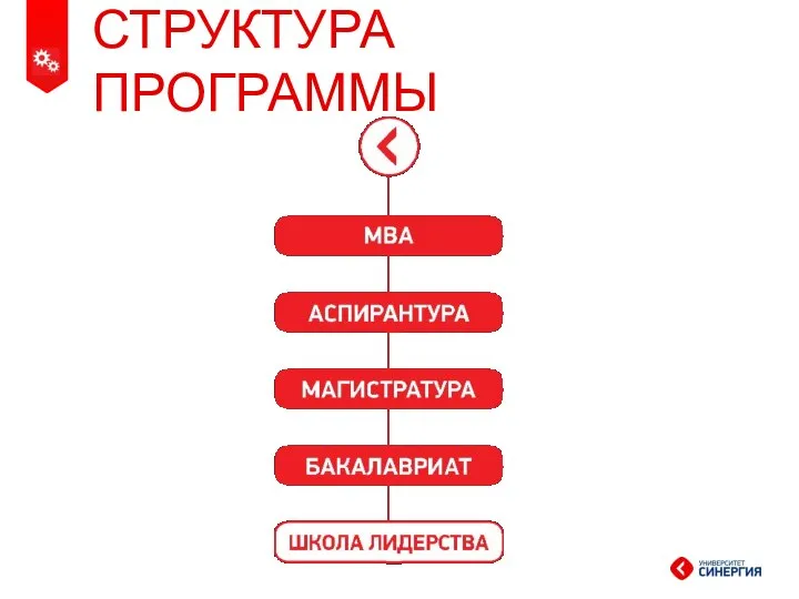 СТРУКТУРА ПРОГРАММЫ