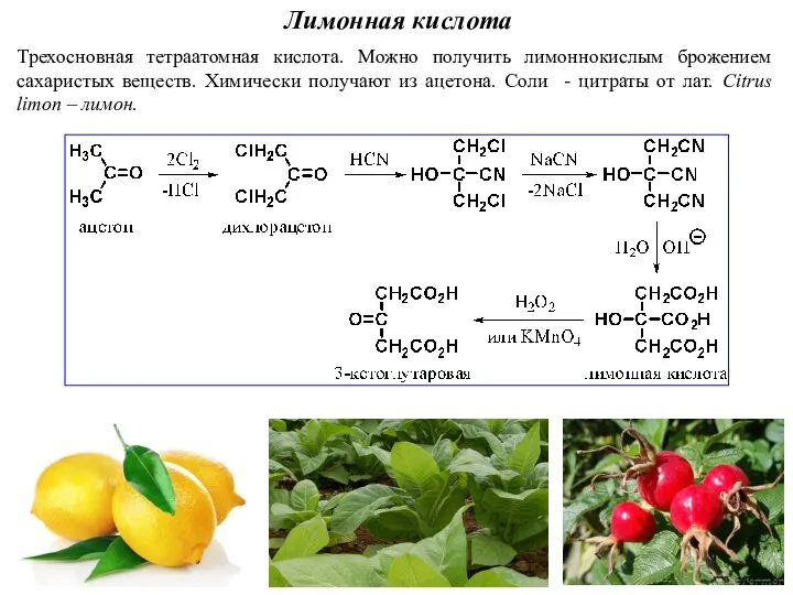 Лимонная кислота Трехосновная тетраатомная кислота. Можно получить лимоннокислым брожением сахаристых веществ.