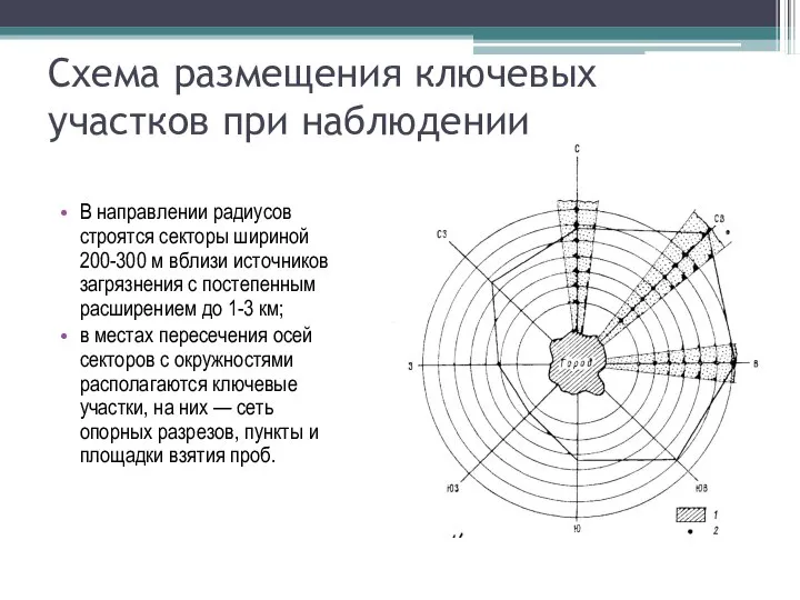 Схема размещения ключевых участков при наблюдении В направлении радиусов строятся секторы