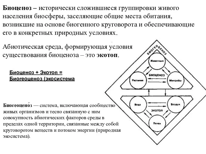 Биоценоз – исторически сложившиеся группировки живого населения биосферы, заселяющие общие места