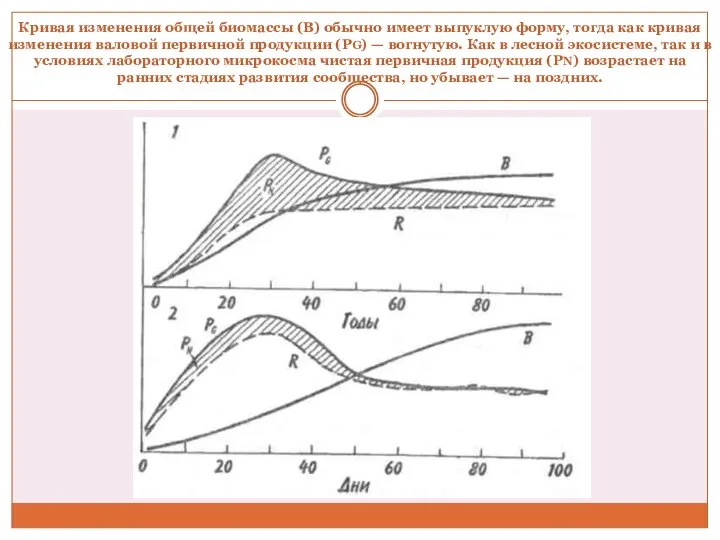 Кривая изменения общей биомассы (B) обычно имеет выпуклую форму, тогда как