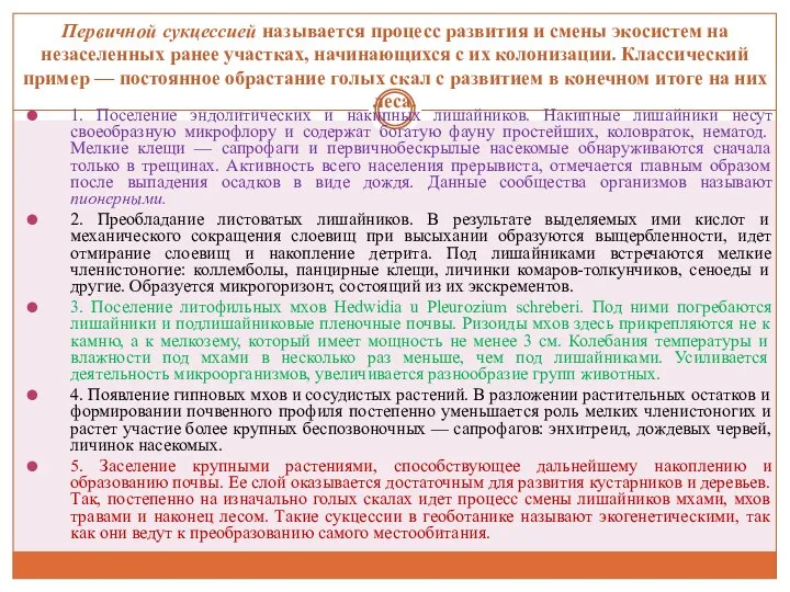 Первичной сукцессией называется процесс развития и смены экосистем на незаселенных ранее