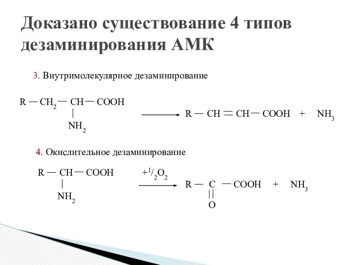 Доказано существование 4 типов дезаминирования АМК