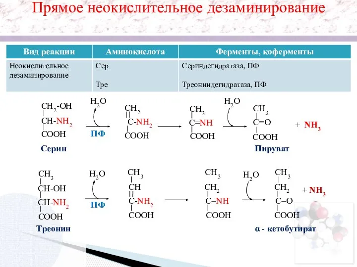 H2O CH2 C-NH2 COOH CH3 C=NH COOH + NH3 Серин ПФ