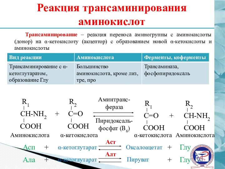 Реакция трансаминирования аминокислот Трансаминирование – реакция переноса аминогруппы с аминокислоты (донор)