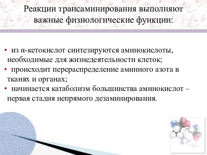 Реакции трансаминирования выполняют важные физиологические функции: из α-кетокислот синтезируются аминокислоты, необходимые