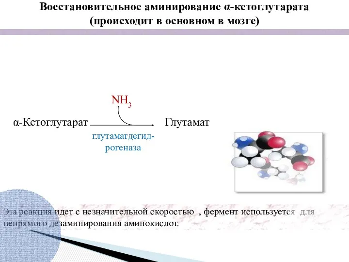 Эта реакция идет с незначительной скоростью , фермент используется для непрямого