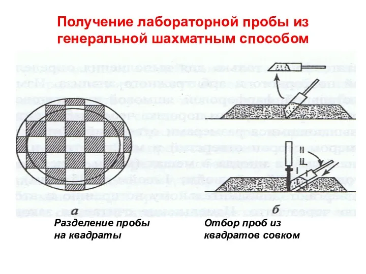 Получение лабораторной пробы из генеральной шахматным способом Разделение пробы на квадраты Отбор проб из квадратов совком