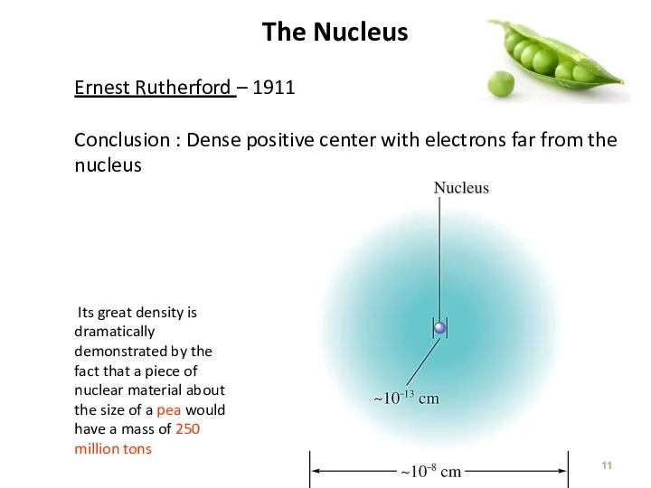 The Nucleus Ernest Rutherford – 1911 Conclusion : Dense positive center