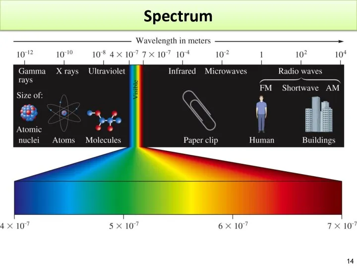 Spectrum