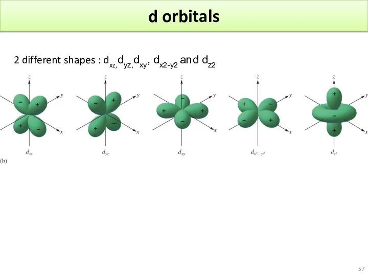 d orbitals 2 different shapes : dxz,dyz,dxy, dx2-y2 and dz2
