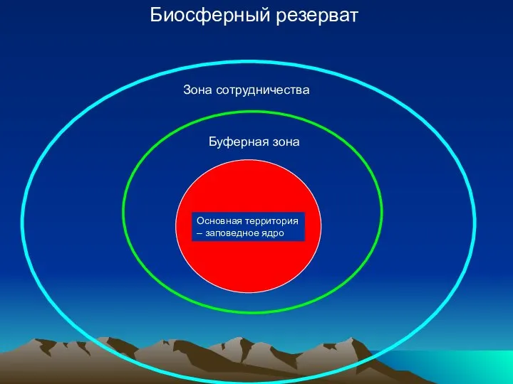 Биосферный резерват Основная территория – заповедное ядро Буферная зона Зона сотрудничества