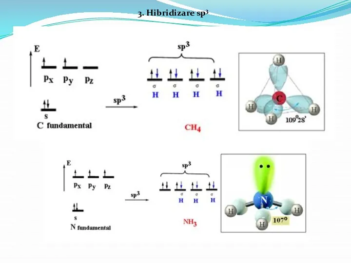 3. Hibridizare sp3