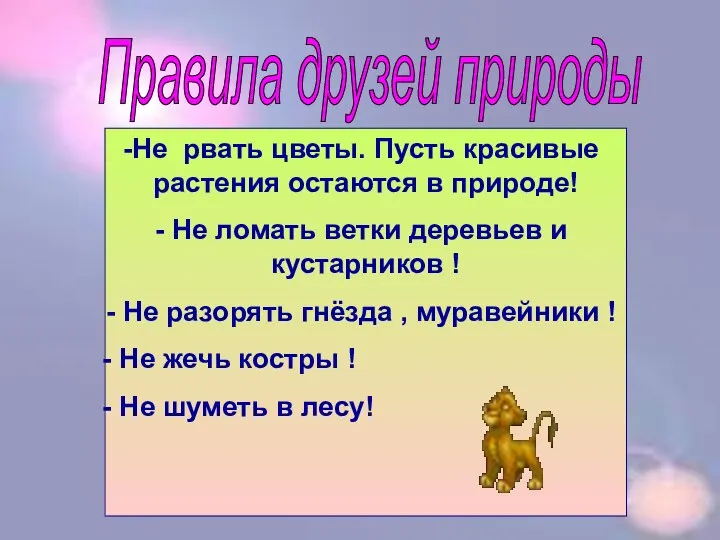 Правила друзей природы Не рвать цветы. Пусть красивые растения остаются в