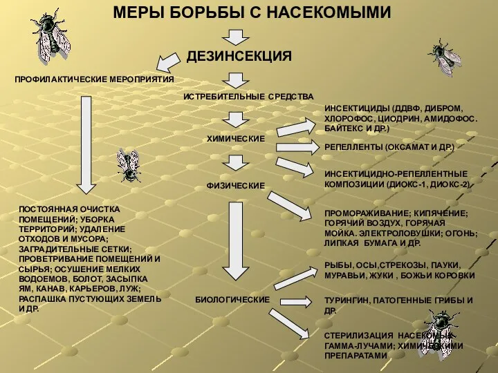 МЕРЫ БОРЬБЫ С НАСЕКОМЫМИ ДЕЗИНСЕКЦИЯ ПРОФИЛАКТИЧЕСКИЕ МЕРОПРИЯТИЯ ПОСТОЯННАЯ ОЧИСТКА ПОМЕЩЕНИЙ; УБОРКА