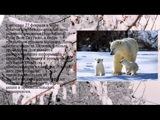 Ежегодно 27 февраля в мире отмечается Международный день полярного медведя (International