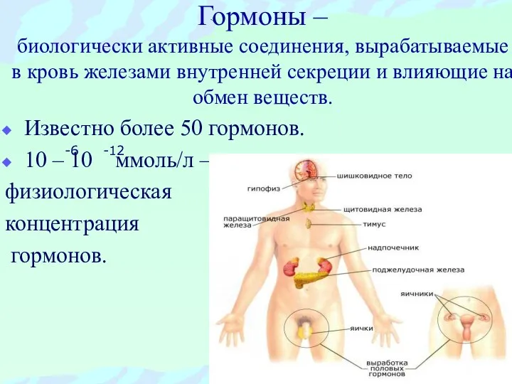 Гормоны – биологически активные соединения, вырабатываемые в кровь железами внутренней секреции