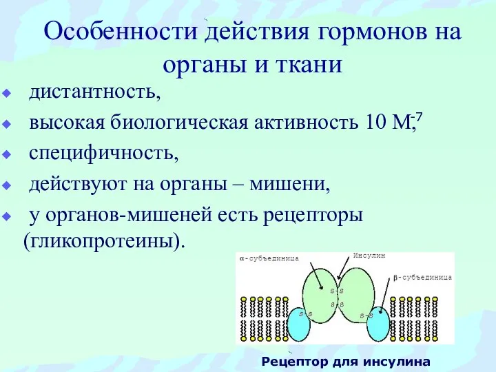 Особенности действия гормонов на органы и ткани дистантность, высокая биологическая активность