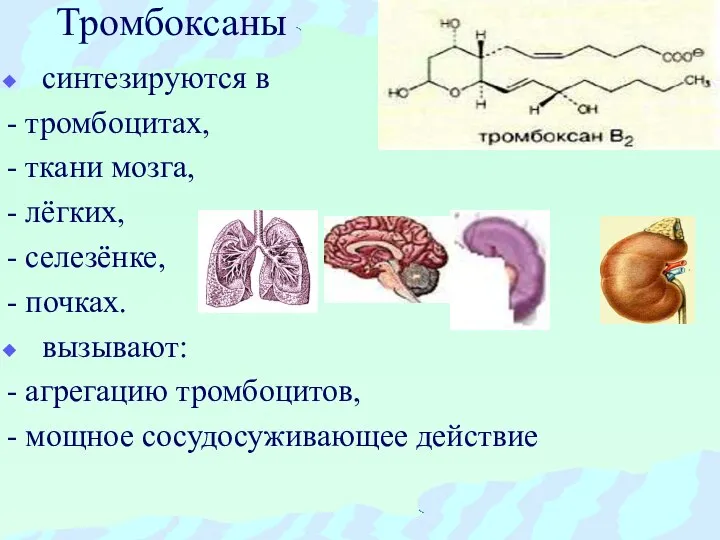 Тромбоксаны синтезируются в - тромбоцитах, - ткани мозга, - лёгких, -