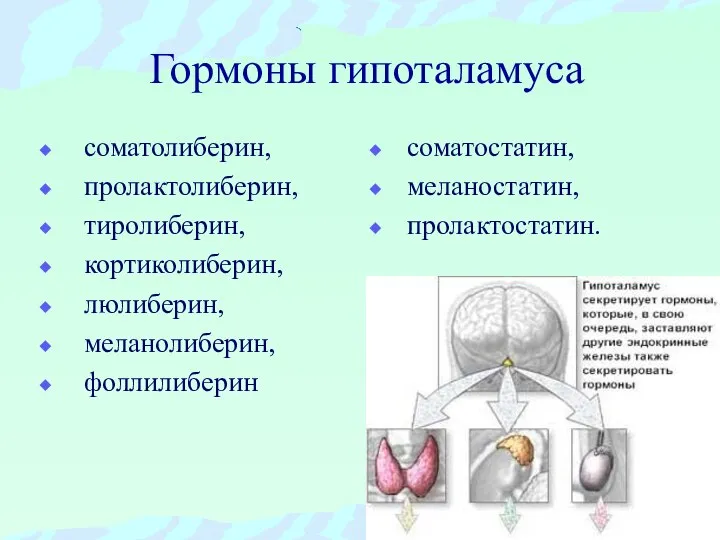 Гормоны гипоталамуса соматолиберин, пролактолиберин, тиролиберин, кортиколиберин, люлиберин, меланолиберин, фоллилиберин соматостатин, меланостатин, пролактостатин.