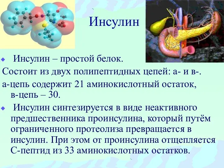 Инсулин Инсулин – простой белок. Состоит из двух полипептидных цепей: а-