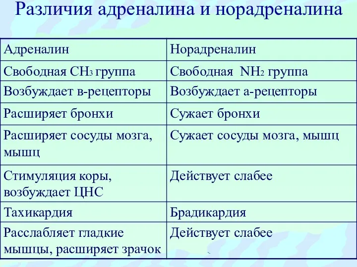 Различия адреналина и норадреналина