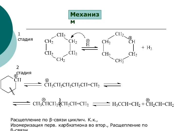 Механизм 1 стадия 2 стадия Расщепление по β-связи циклич. К.к., Изомеризация