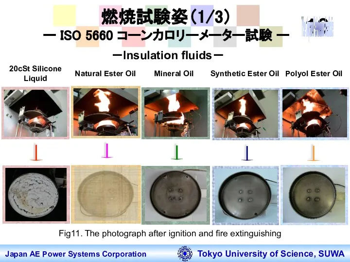 燃焼試験姿（1/3） ー ISO 5660 コーンカロリーメーター試験 ー 20cSt Silicone Liquid Natural Ester