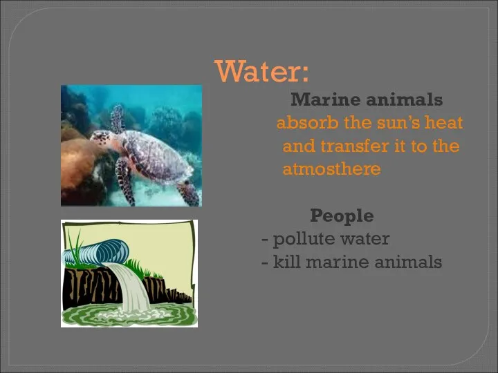 Water: Marine animals absorb the sun’s heat and transfer it to