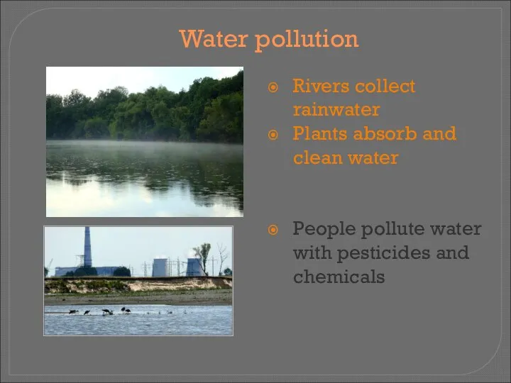 Water pollution Rivers collect rainwater Plants absorb and clean water People