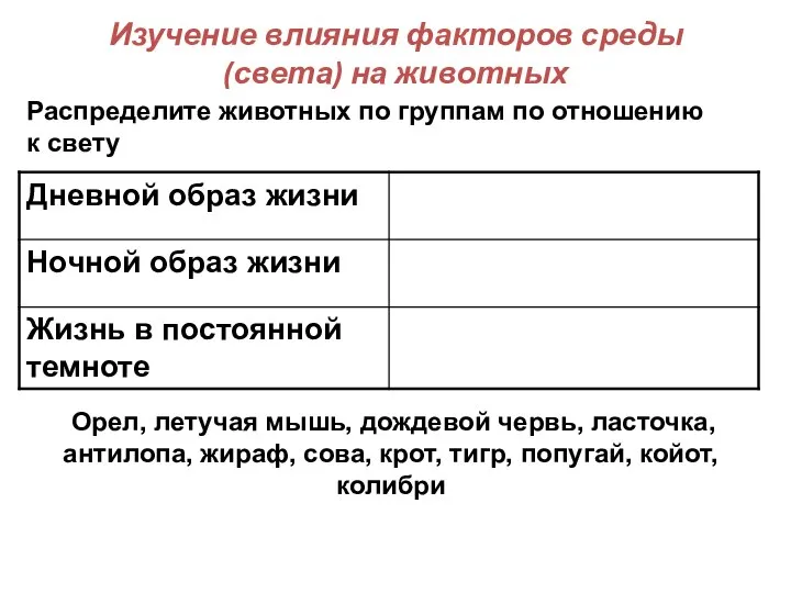 Изучение влияния факторов среды (света) на животных Распределите животных по группам