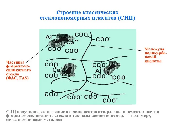 строение классических стеклоиономерных цементов (СИЦ) Частицы фторалюмо-силикатного стекла (ФАС, FAS) Молекула