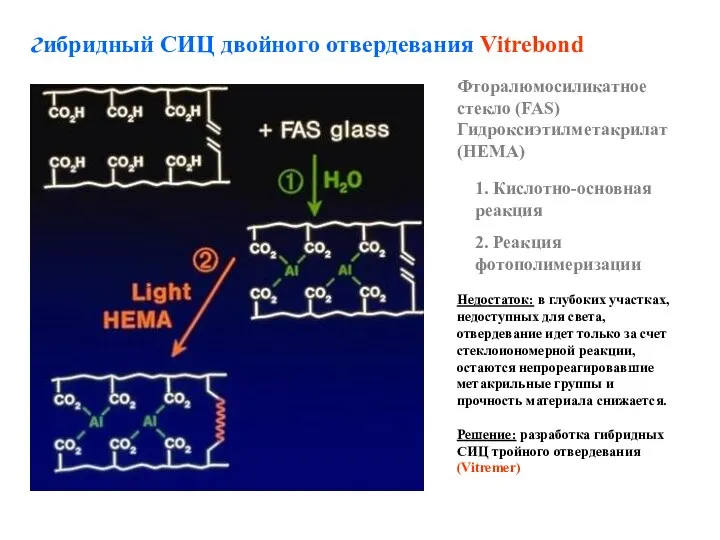 Фторалюмосиликатное стекло (FAS) Гидроксиэтилметакрилат (HEMA) 1. Кислотно-основная реакция 2. Реакция фотополимеризации