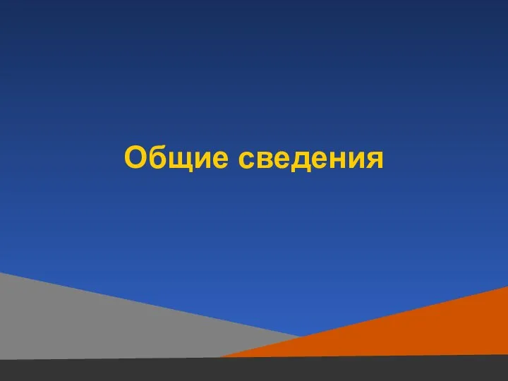 Общие сведения