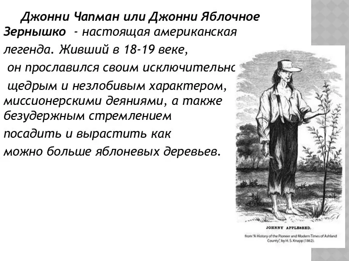 Джонни Чапман или Джонни Яблочное Зернышко - настоящая американская легенда. Живший