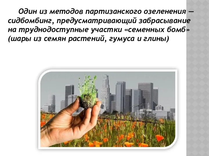 Один из методов партизанского озеленения — сидбомбинг, предусматривающий забрасывание на труднодоступные