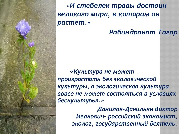 «И стебелек травы достоин великого мира, в котором он растет.» Рабиндранат