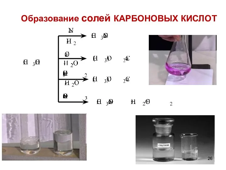 Образование солей КАРБОНОВЫХ КИСЛОТ