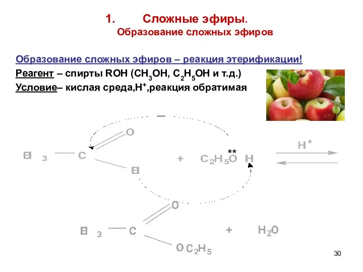 Сложные эфиры. Образование сложных эфиров Образование сложных эфиров – реакция этерификации!