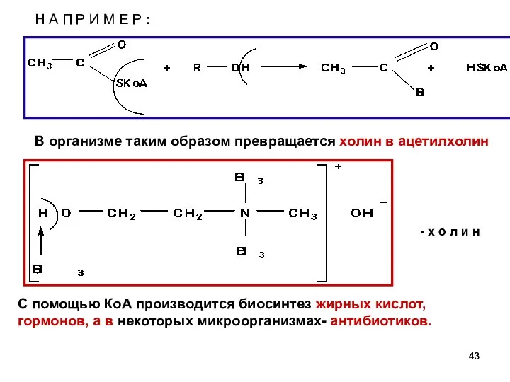 Н А П Р И М Е Р : - х