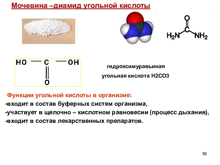 Мочевина –диамид угольной кислоты Функции угольной кислоты в организме: входит в