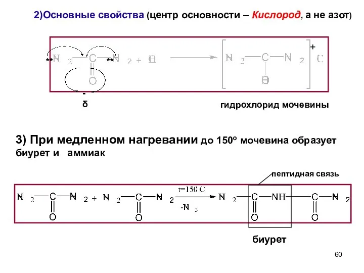 2)Основные свойства (центр основности – Кислород, а не азот) гидрохлорид мочевины