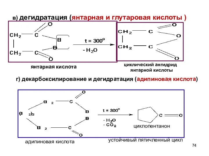 в) дегидратация (янтарная и глутаровая кислоты ) янтарная кислота циклический ангидрид