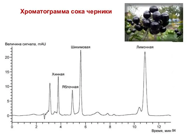 Хроматограмма сока черники