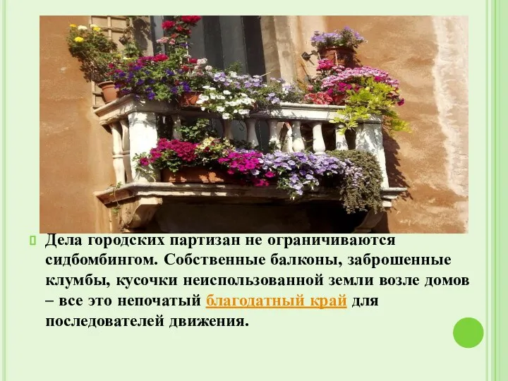 Дела городских партизан не ограничиваются сидбомбингом. Собственные балконы, заброшенные клумбы, кусочки